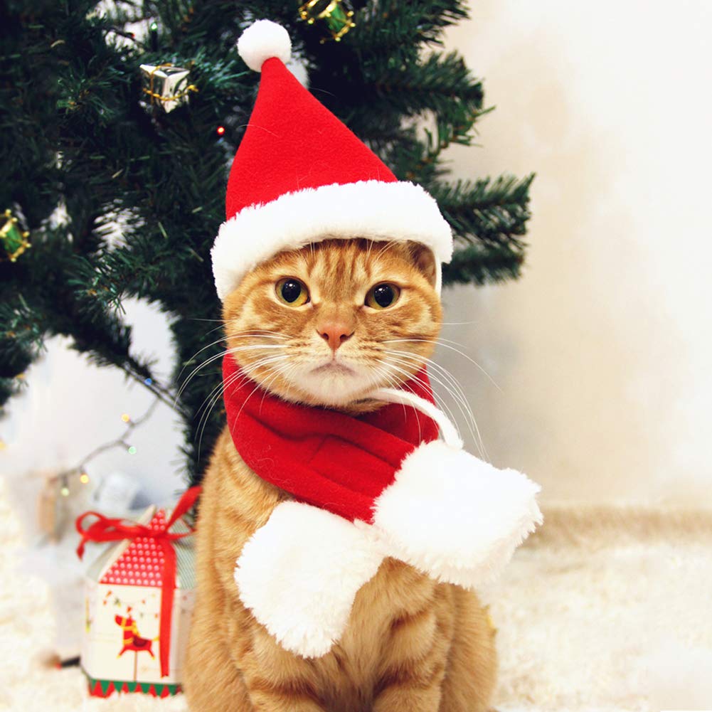 PETLESO Cat Santa Hat with Scarf, Christmas Hats for Cats Small