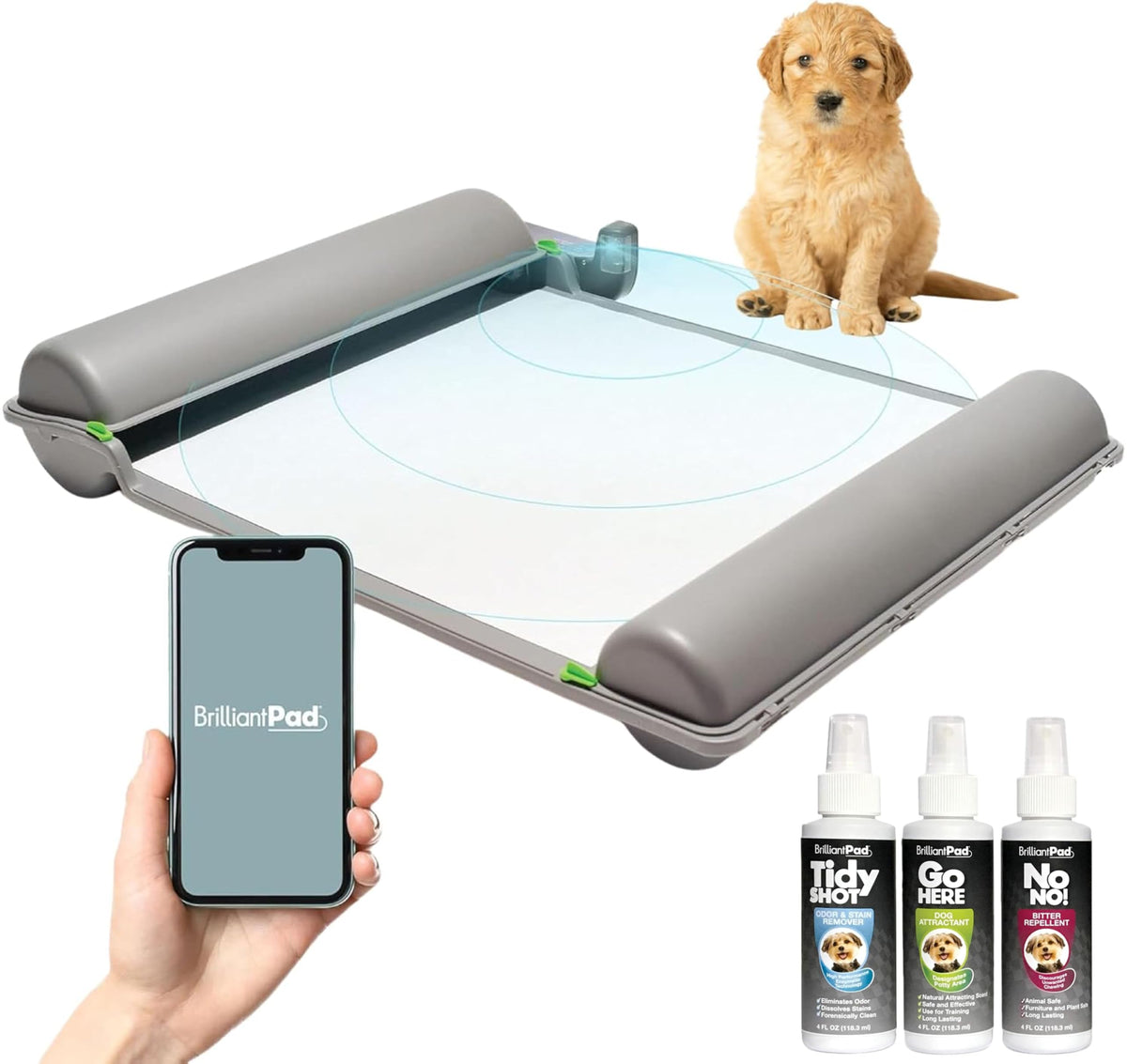 BrilliantPad Smart Indoor Dog Potty for Small Pets | Self Cleaning wit ...