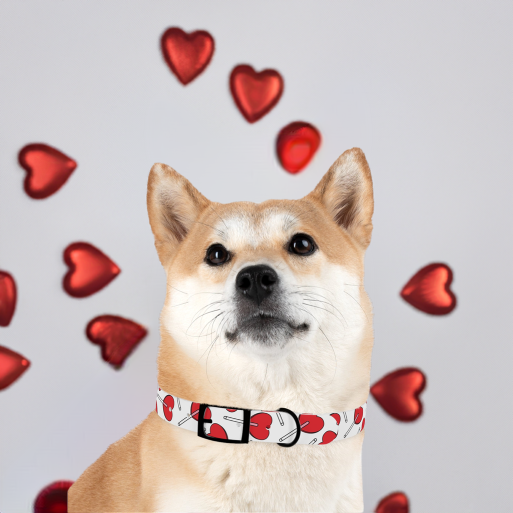 candy heart dog collar – Dog Pawshop