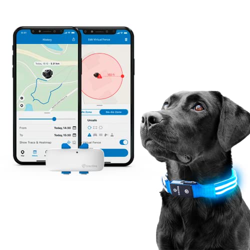 Tractive GPS Pet Tracker with LED Light Up Dog Collar - Waterproof, GPS Location & Smart Activity Tracker, Unlimited Range (Blue, Small)