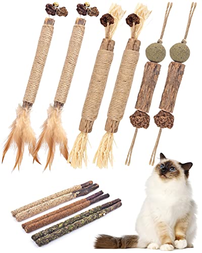 Catnip Chew Toys for Cats, 12 Pack Natural Silvervine Sticks for Kittens Teeth Cleaning, Matatabi Dental Care, Increase Appetite, Calm Cat Anxiety and Stress, Aggressive Chewers Cat Dental Toy