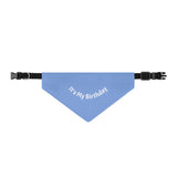 Pet Bandana Collar