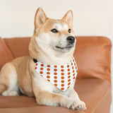Halloween pumkin pet collar and bandana