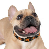 jack-o-lantern print dog collar