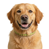 Clip-on Pet Collar cherry