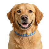 Smile Face Clip-on Pet Collar