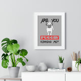 Pug Pet Framed Poster