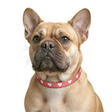 Clip-on Pet Collar heart design