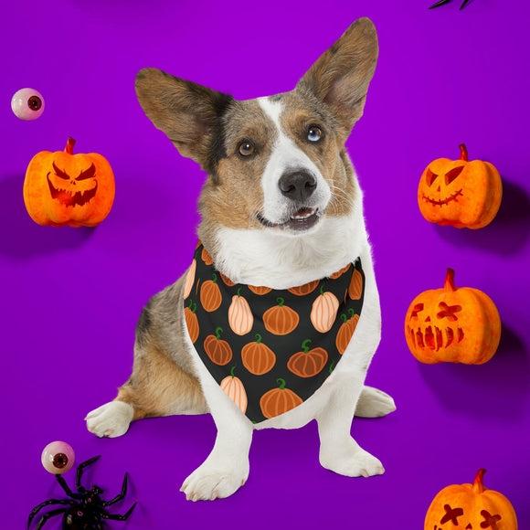 pumkin pet collar and bandana