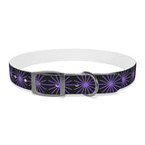 Black and purple star dog collar