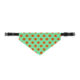 Pet Bandana Collar green and orange pumpkin