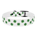 Lucky Clover Dog Collar — St. Patrick’s Day Green Shamrock Pet Collar
