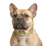 Clip-on Pet Collar cherry