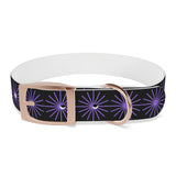 Black and purple star dog collar