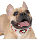 Candy Pattern Dog Collar — Sweet Candy Collar for Dogs