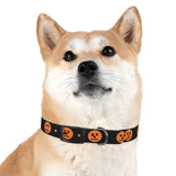 jack-o-lantern print dog collar