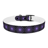 Black and purple star dog collar