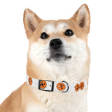 Dog Collar