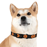 jack-o-lantern print dog collar