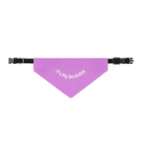 Pet Bandana Collar