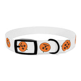 Dog Collar