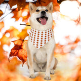 Halloween pumkin pet collar and bandana