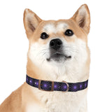 Black and purple star dog collar
