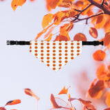 Halloween pumkin pet collar and bandana