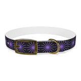 Black and purple star dog collar