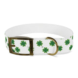 Lucky Clover Dog Collar — St. Patrick’s Day Green Shamrock Pet Collar