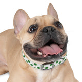 Lucky Clover Dog Collar — St. Patrick’s Day Green Shamrock Pet Collar