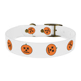 Dog Collar
