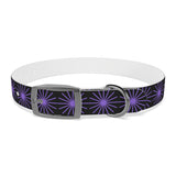 Black and purple star dog collar
