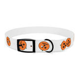Dog Collar