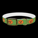 Halloween pumkin collar