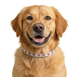 Red Paw Print Clip-On Pet Collar