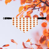 Halloween pumkin pet collar and bandana