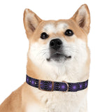 Purple Star Dog Collar — Adjustable Pet Collar with Star Pattern
