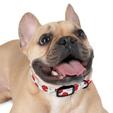 Candy Pattern Dog Collar — Sweet Candy Collar for Dogs
