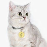 Pet Tag vegan