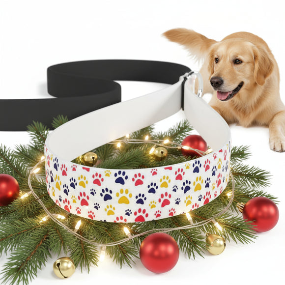 White dog leash with colorful paw prints on a white background