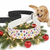 White dog leash with colorful paw prints on a white background