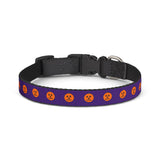 Halloween Pumpkin Clip-On Pet Collar — Purple & Orange Jack-O'-Lantern Design