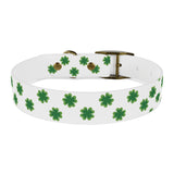 Pet Collar St. Patrick's Clover