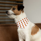 Halloween pumkin pet collar and bandana