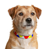 Clip-on Pet Collar — Colorful Primary Dot Pattern for Dogs & Cats