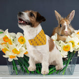 Easter Cute Cartoon Dog Bandana Collar — Cute Cartoon Dog Pet Bandana for Easter