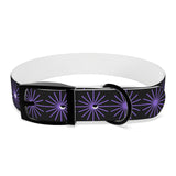 Black and purple star dog collar
