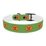 Halloween Dog Collar pumkin design