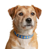 Smile Face Clip-on Pet Collar